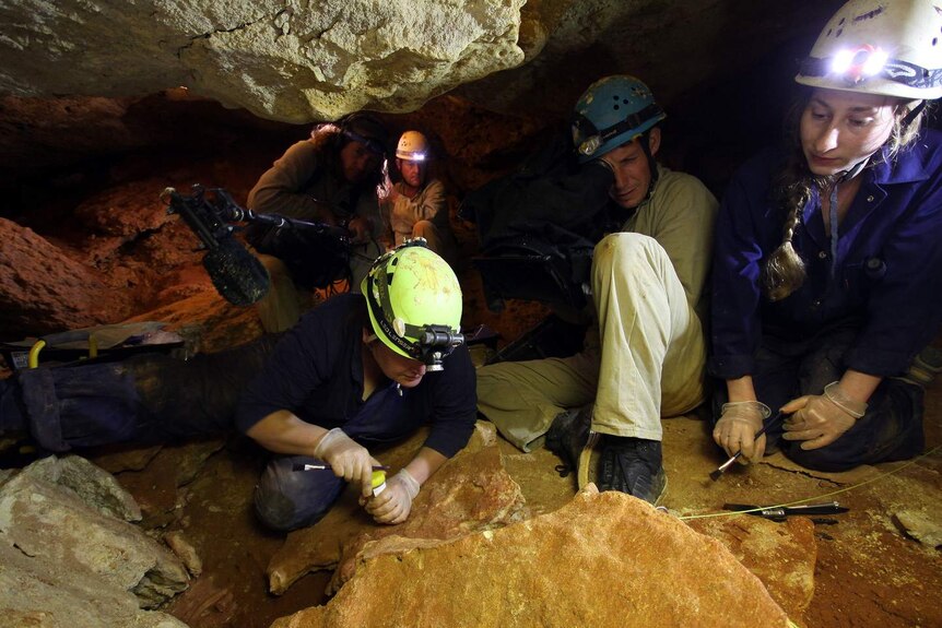 A film crew working with researchers at Naracoorte Caves.