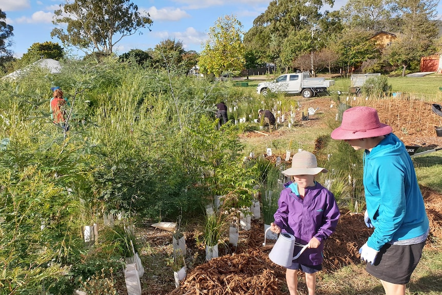 Two children help put plants in the ground at a garden.