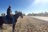 Anthony Moody sitting on his horse looking down the road as his cattle walk along the stock route near Barcaldine.