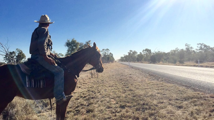 Anthony Moody sitting on his horse looking down the road as his cattle walk along the stock route near Barcaldine.