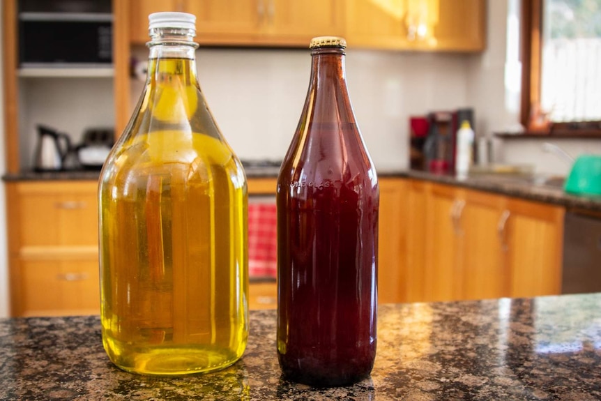 Homemade olive oil and passata.