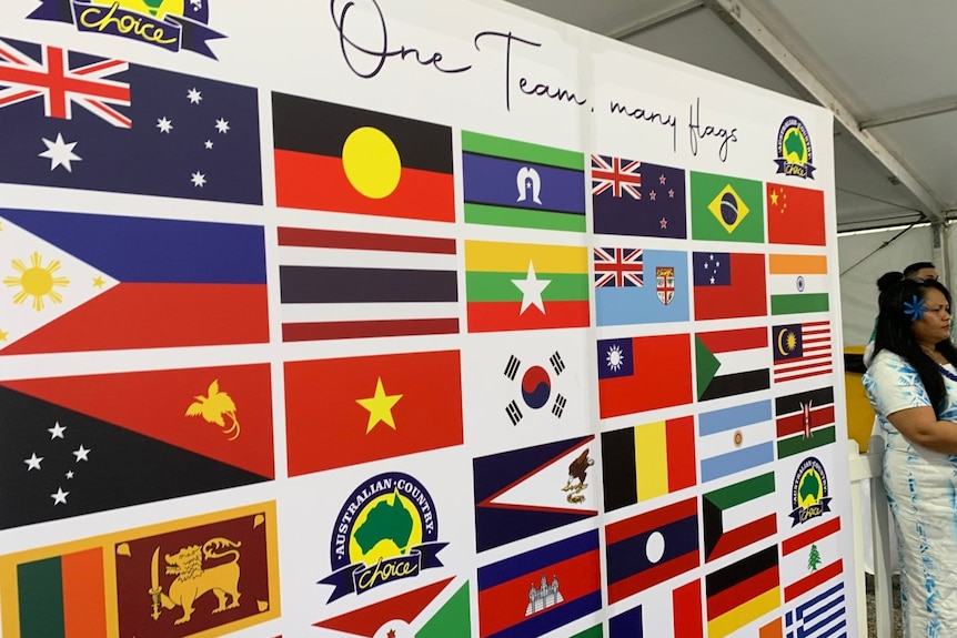 Photo of different flags on a board.
