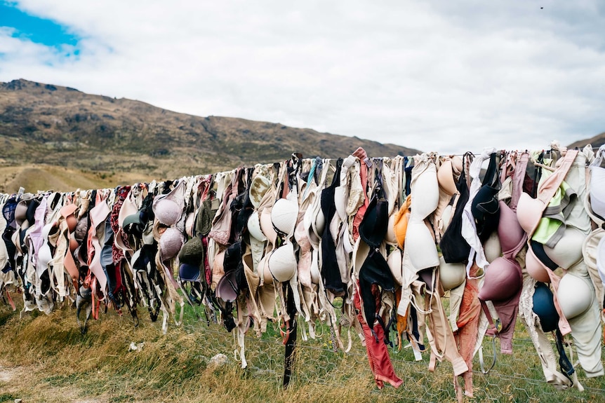 A row or bras sits on a fence