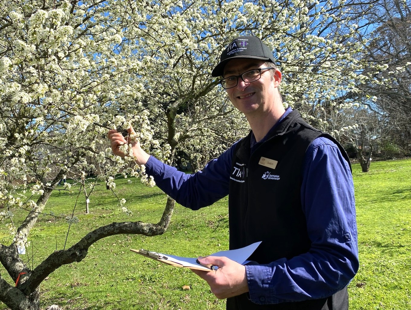 Apple varieties 'lost over the years' are being kept alive in this collection
