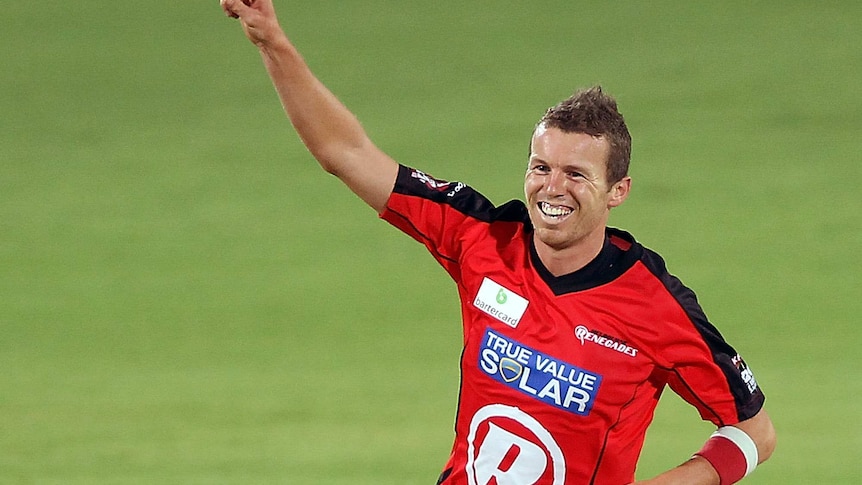 Peter Siddle celebrates a wicket for Melbourne Renegades
