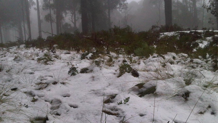 A dusting of snow on the Barrington Tops.