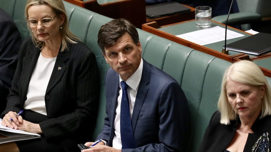 Angus Taylor, Sussan Ley and Karen Andrews sit on the green front benches in Question Time