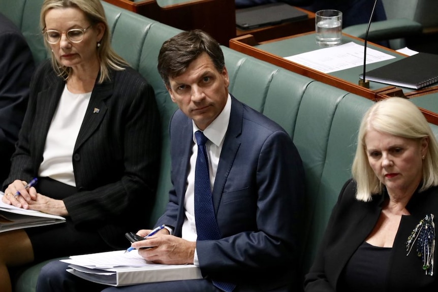 Angus Taylor, Sussan Ley and Karen Andrews sit on the green front benches in Question Time