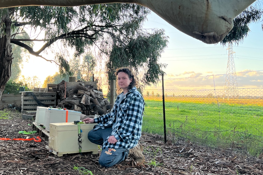 A teenage boy kneels next to a small behive.