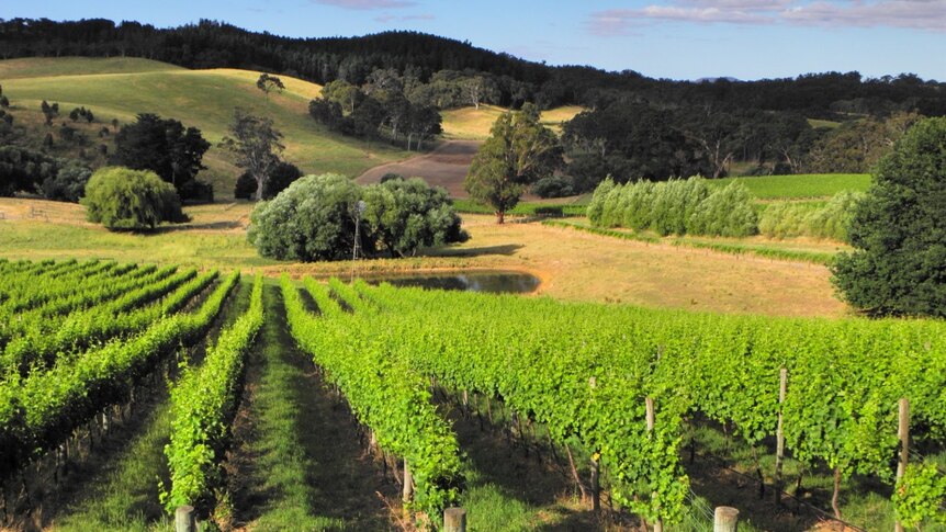 Oakbank in the Adelaide hills