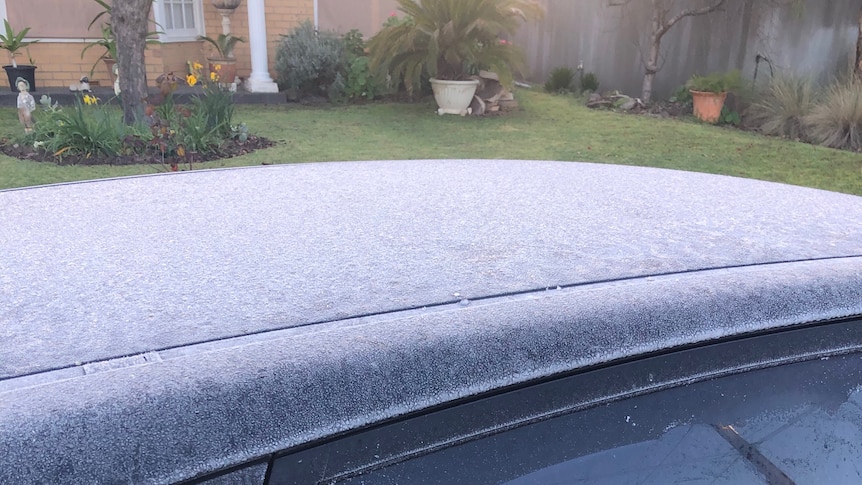 A black car parked in a front yard is frosted over on its roof and windows