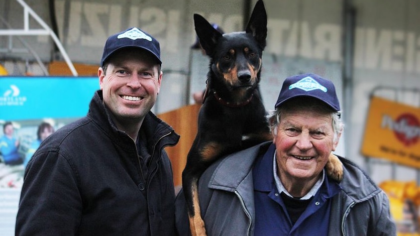 Mack, winner of the 2012 Australian Kelpie Muster triathlon in Casterton.