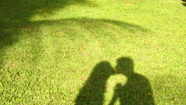 Shadow of couple kissing on green grass backdrop