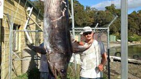 A 225 kilogram broadbill swordfish caught of Eaglehawk Neck