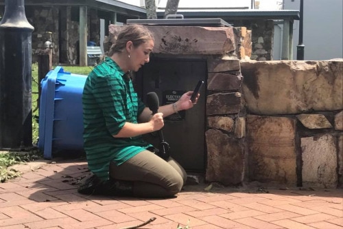 Allyson Horn finding shelter from the wind behind a brick wall to record her voice over.