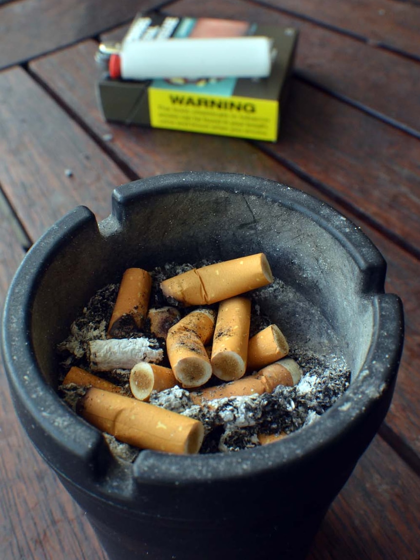 investing in tobacco Best Stocks India (July 2026) Future Fund drops tobacco investment