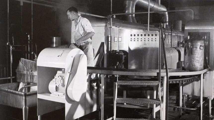 Cobram butter and cheese factory in the 1960s.