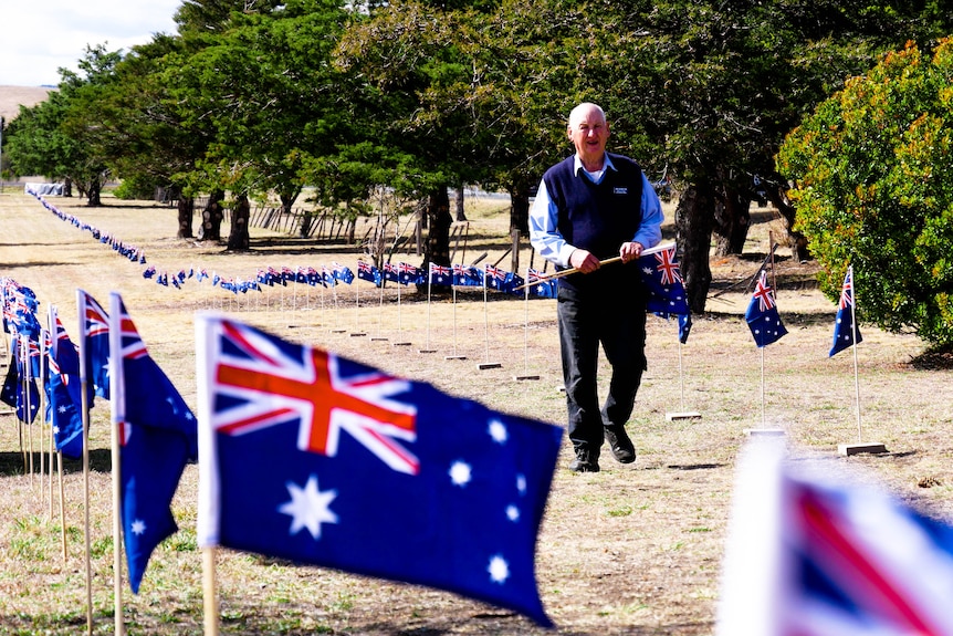 a man walks in the distance between hundreds of flags which line a path