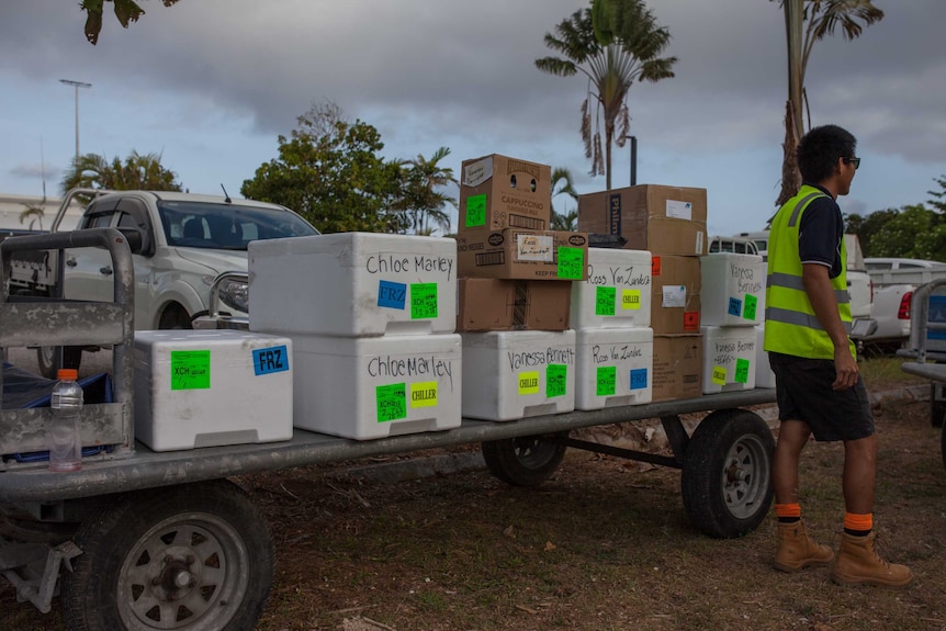 Boxes of fresh food delivered to Christmas Island on freight day.
