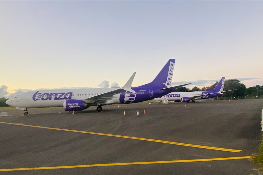 Aircraft with purple designs parked on tarmac