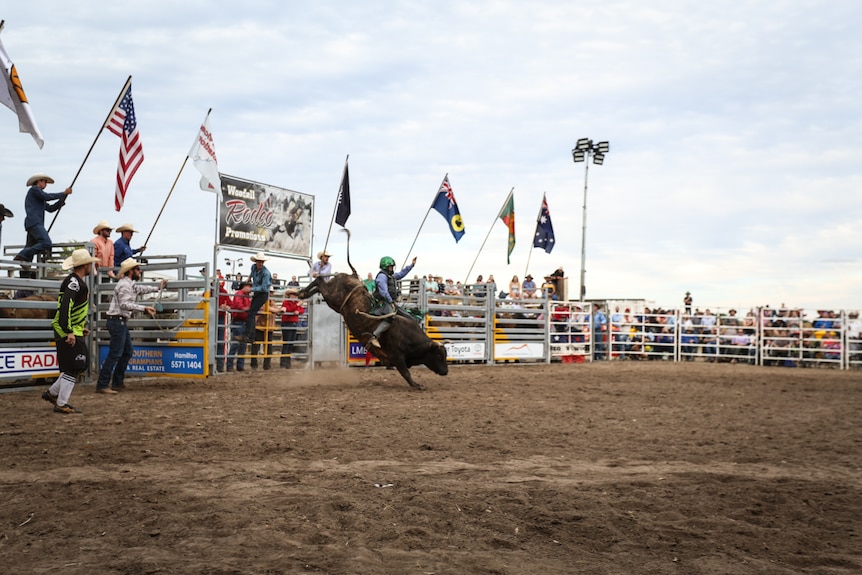 Sam Woodall riding  a bull at the Dunkeld Rodeo.