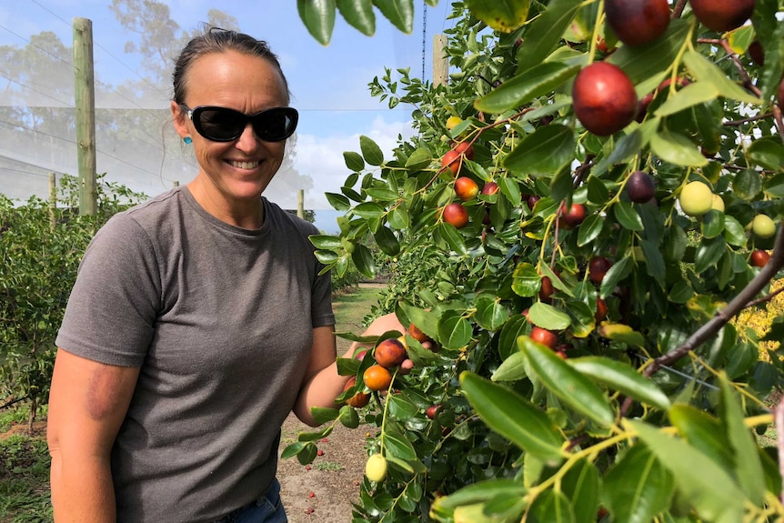 Jujubes grower Georgie Warren