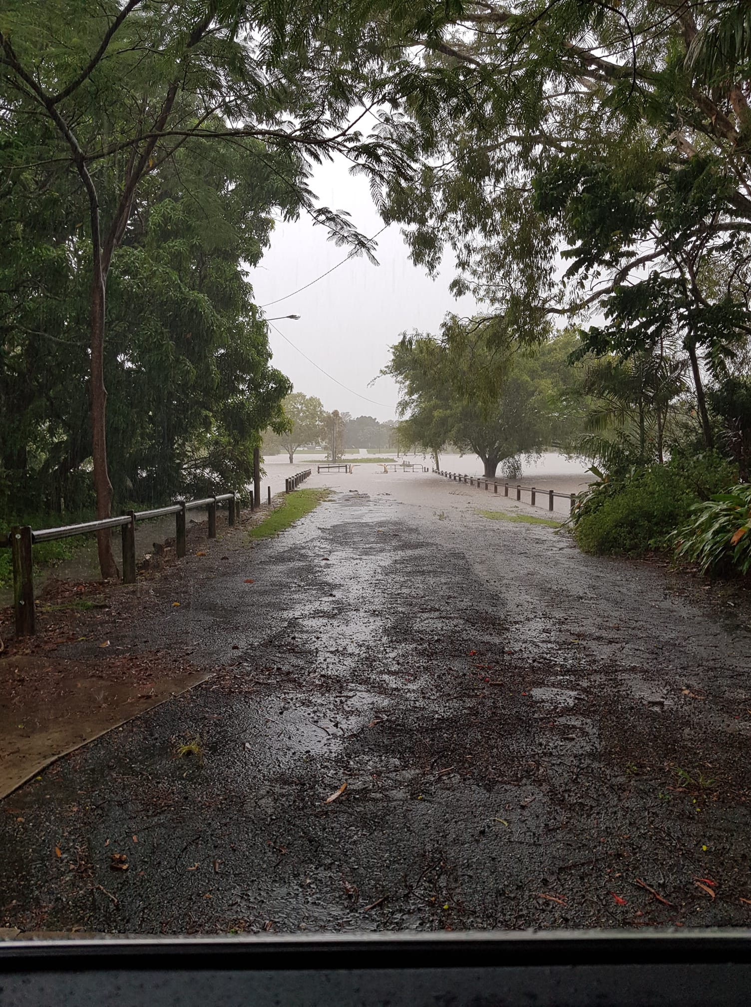 Mackay school evacuates cattle as heavy rain closes roads and brings