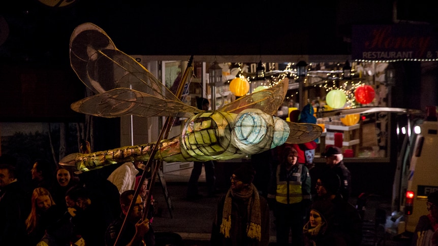 Lantern in the shape of a dragonfly in a night time street parade.