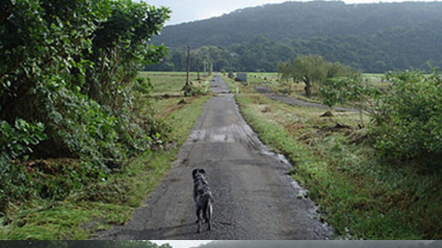 Before and after - flooding in Jamberoo