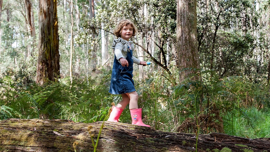 A young girl wearing pink gumboots walks across a fallen tree.