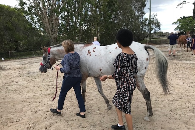 Two women walking with a horse.