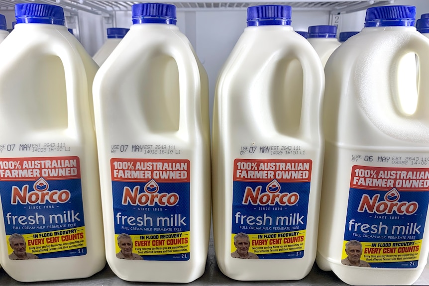 Four two-litre bottles of milk.