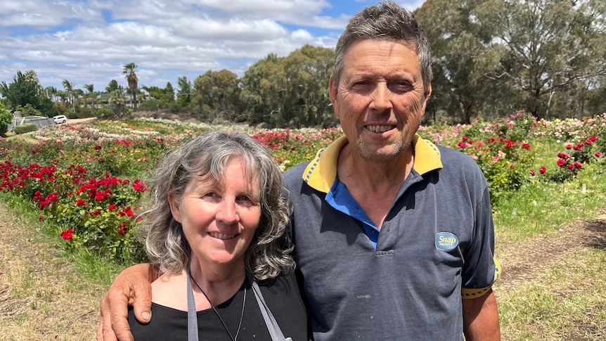 Trish and Garry Kelly stand in front of a paddock full of colourful roses