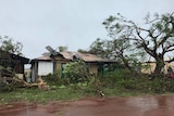 A damaged house with parts of its tin roof ripped off and a tree with branches torn off, with the ground covered in branches.