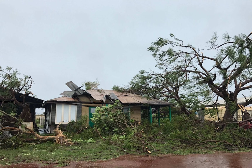 A damaged house with parts of its tin roof ripped off and a tree with branches torn off, with the ground covered in branches.