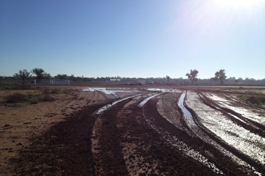 Maneroo property after rain