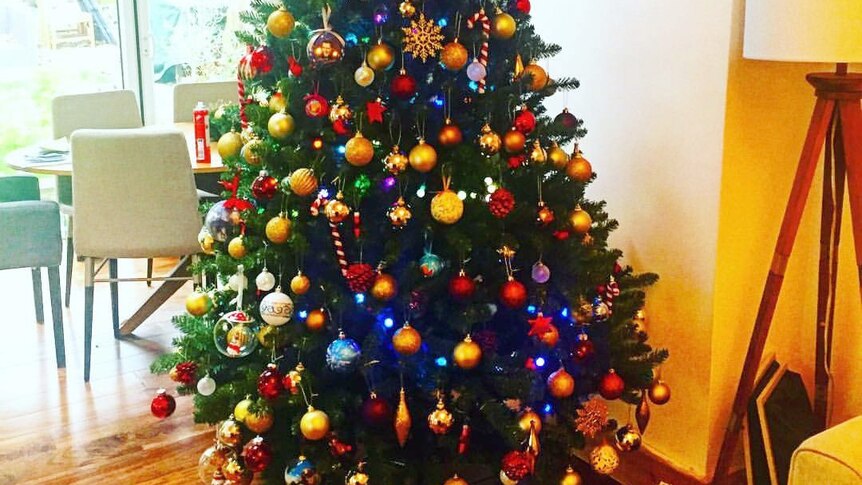 A brightly decorated Christmas tree.