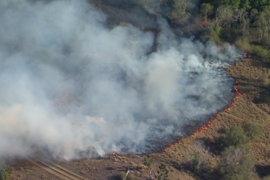 Grass near Mount French burns to create a plume of smoke