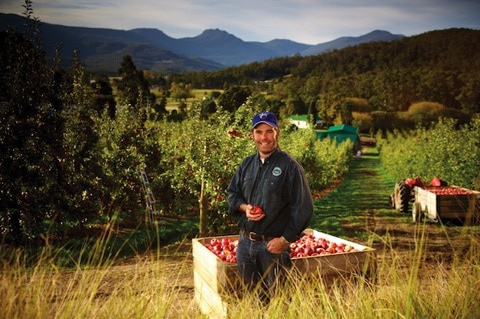 Tasmanian apple grower Howard Hansen