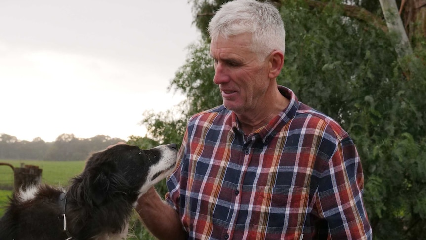 An older man with white hair, wearing a flannel shirt and patting a border collie dog.