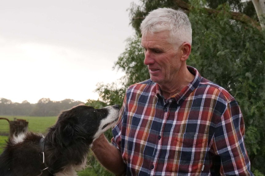 An older man with white hair, wearing a flannel shirt and patting a border collie dog.