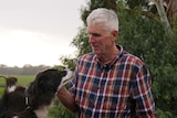 An older man with white hair, wearing a flannel shirt and patting a border collie dog.