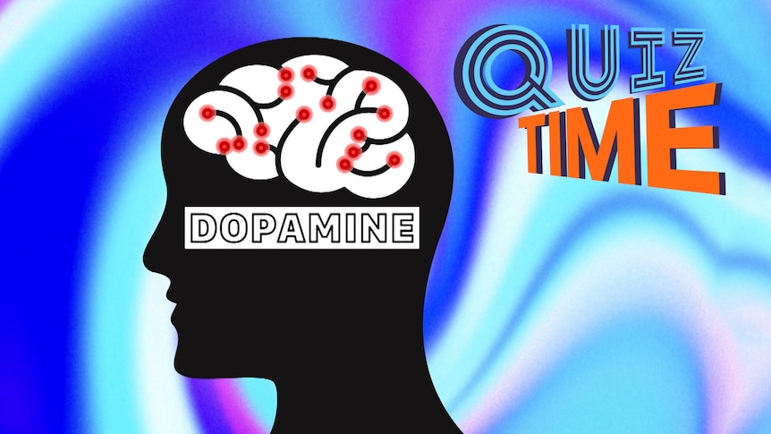 Illustrated silhouette of a head showing a cartoon version of the brain with neurons firing and the word dopamine.