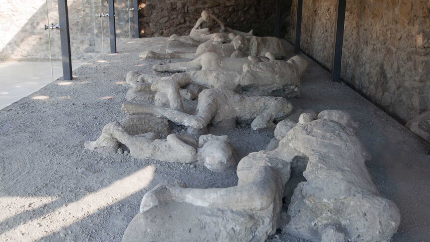 Several preserved bodies within an exhibition at Pompeii in Italy
