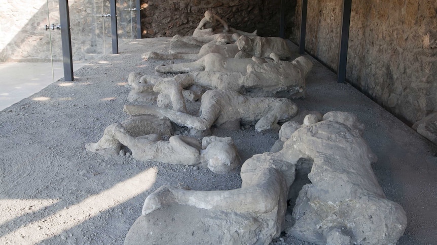 Several preserved bodies within an exhibition at Pompeii in Italy