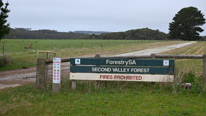 A sign that reads 'Forestry SA' in front of a field.