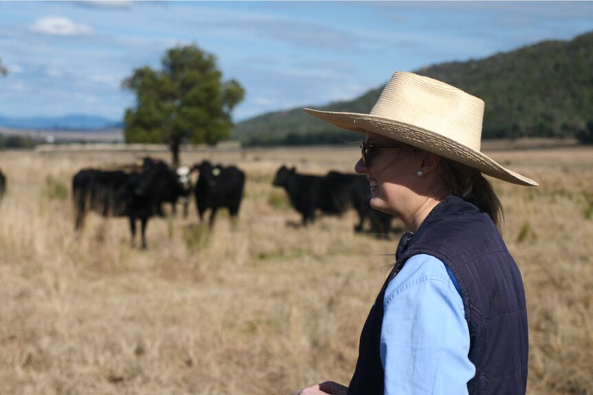 A smiling woman in a broad-brimmed hat and sunglasses stands in a paddock near some cattle.