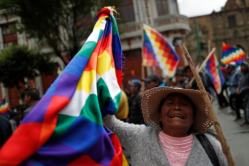 A supporter holding up a flag.