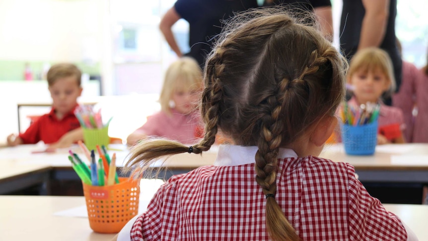 An unidentifiable girl with pigtails in a classroom.