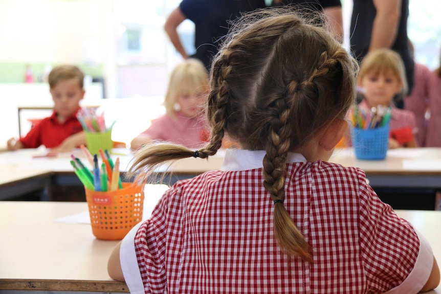 An unidentifiable girl with pigtails in a classroom.